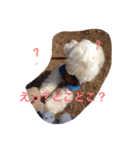 ココとハル（個別スタンプ：4）