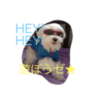 ココとハル（個別スタンプ：5）