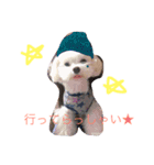 ココとハル（個別スタンプ：8）