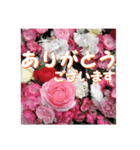 薔薇の花♡アソート7_挨拶メッセージ（個別スタンプ：3）