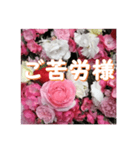 薔薇の花♡アソート7_挨拶メッセージ（個別スタンプ：5）