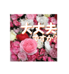薔薇の花♡アソート7_挨拶メッセージ（個別スタンプ：11）