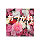 薔薇の花♡アソート7_挨拶メッセージ（個別スタンプ：12）