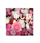 薔薇の花♡アソート7_挨拶メッセージ（個別スタンプ：13）