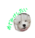 くうれいもも三兄弟とレオンにいちゃん（個別スタンプ：4）