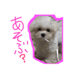 くうれいもも三兄弟とレオンにいちゃん（個別スタンプ：5）