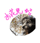 くうれいもも三兄弟とレオンにいちゃん（個別スタンプ：8）