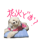 くうれいもも三兄弟とレオンにいちゃん（個別スタンプ：9）