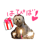 くうれいもも三兄弟とレオンにいちゃん（個別スタンプ：12）