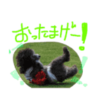 くうれいもも三兄弟とレオンにいちゃん（個別スタンプ：16）