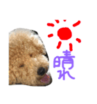 くうれいもも三兄弟とレオンにいちゃん（個別スタンプ：19）