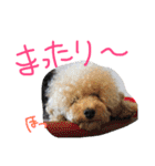 くうれいもも三兄弟とレオンにいちゃん（個別スタンプ：27）