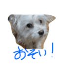 くうれいもも三兄弟とレオンにいちゃん（個別スタンプ：34）