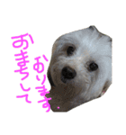 くうれいもも三兄弟とレオンにいちゃん（個別スタンプ：40）