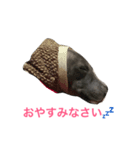 イタグレの日常（個別スタンプ：6）