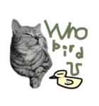 Cute Cats Love Togather 2（個別スタンプ：2）