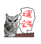 Cute Cats Love Togather 2（個別スタンプ：6）