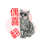 Cute Cats Love Togather 2（個別スタンプ：9）
