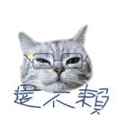 Cute Cats Love Togather 2（個別スタンプ：13）