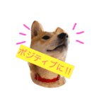 大好き！王ちゃん（個別スタンプ：4）