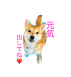 大好き！王ちゃん（個別スタンプ：6）