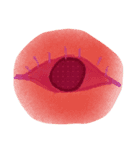 EYE（個別スタンプ：7）