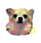 りーちゃんの日常（個別スタンプ：2）