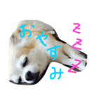 りーちゃんの日常（個別スタンプ：5）