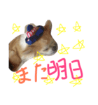 りーちゃんの日常（個別スタンプ：8）