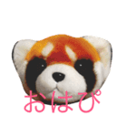 可愛いレッサーパンダたち！（個別スタンプ：1）