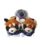 可愛いレッサーパンダたち！（個別スタンプ：3）