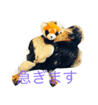 可愛いレッサーパンダたち！（個別スタンプ：6）