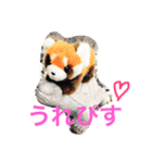 可愛いレッサーパンダたち！（個別スタンプ：7）