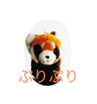 可愛いレッサーパンダたち！（個別スタンプ：8）