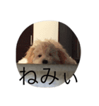 チャムの日常（個別スタンプ：18）