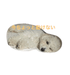 チャムの日常（個別スタンプ：22）