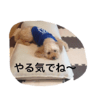 マルオです（個別スタンプ：3）