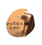 マルオです（個別スタンプ：4）