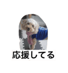 マルオです（個別スタンプ：5）