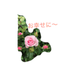 庭の花（個別スタンプ：3）
