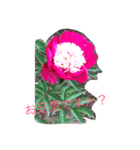 庭の花（個別スタンプ：4）