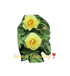 庭の花（個別スタンプ：6）