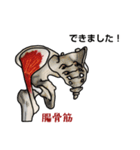 筋肉マニアックスタンプ2〜下肢編〜（個別スタンプ：9）