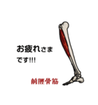 筋肉マニアックスタンプ2〜下肢編〜（個別スタンプ：30）