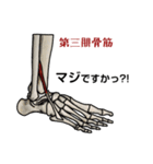 筋肉マニアックスタンプ2〜下肢編〜（個別スタンプ：32）