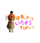 河瀬家にゃんこ ハロウィン（個別スタンプ：4）