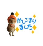 河瀬家にゃんこ ハロウィン（個別スタンプ：12）