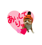 河瀬家にゃんこ ハロウィン（個別スタンプ：14）