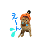 河瀬家にゃんこ ハロウィン（個別スタンプ：18）