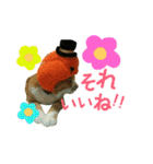 河瀬家にゃんこ ハロウィン（個別スタンプ：20）